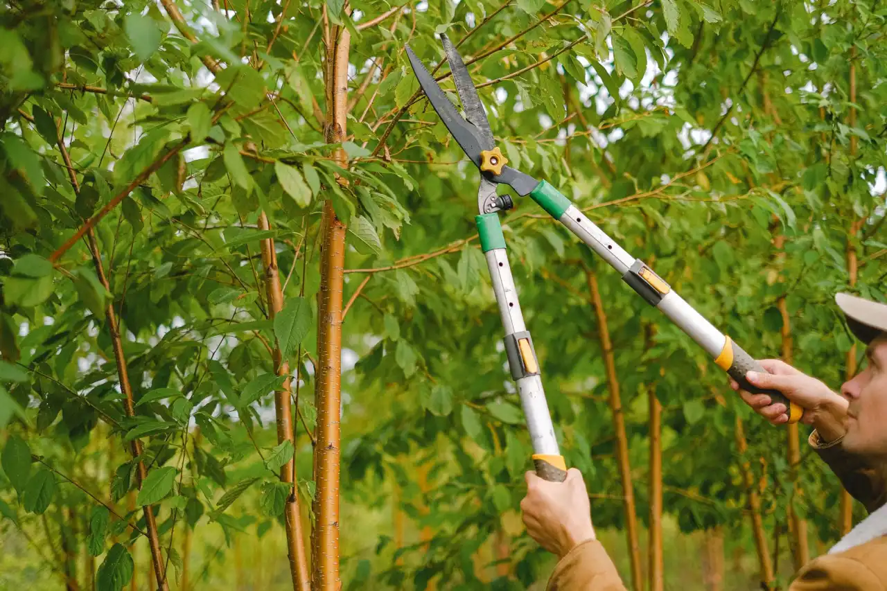 农业物联网解决方案对比：传统种植与数字农业平台的效率差异