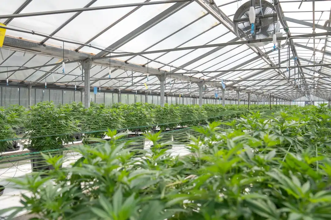 基于大数据的智慧农业解决方案如何提升黑龙江种植基地生产效率