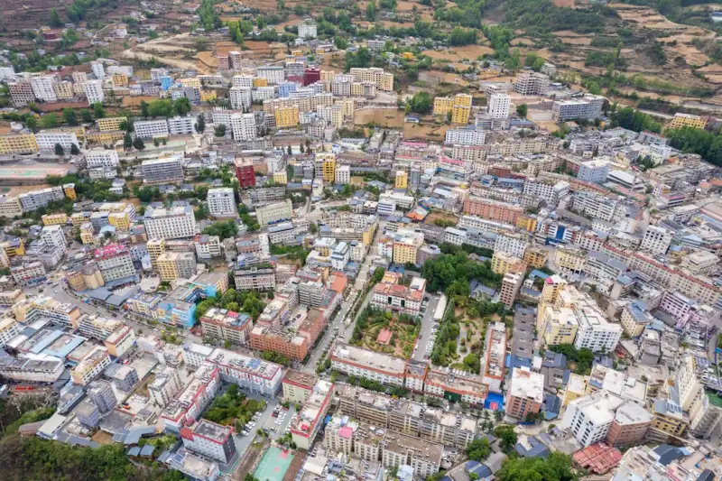 黑龙江惠达科技：农业物联网平台如何实现大田作物精准管理